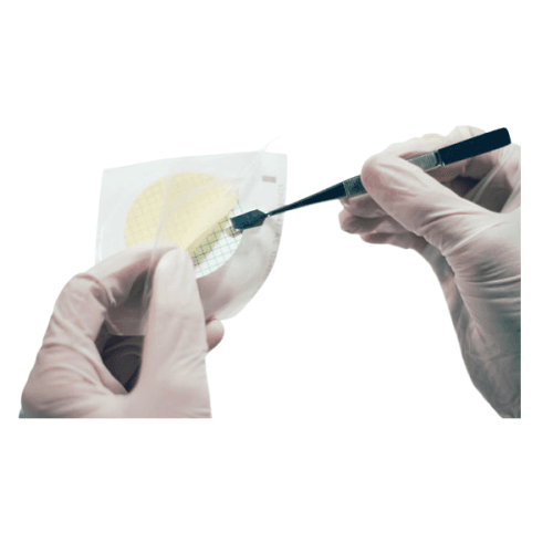 MEMBRANA - FILTROS DE MEMBRANA DE CELULOSA