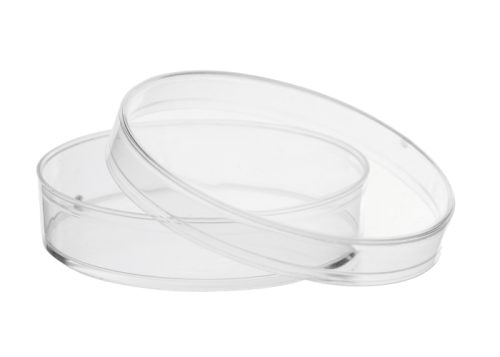 PLATOS PETRI