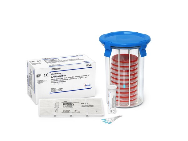 TIRAS PARA PRUEBA DE ANAEROBIOSIS